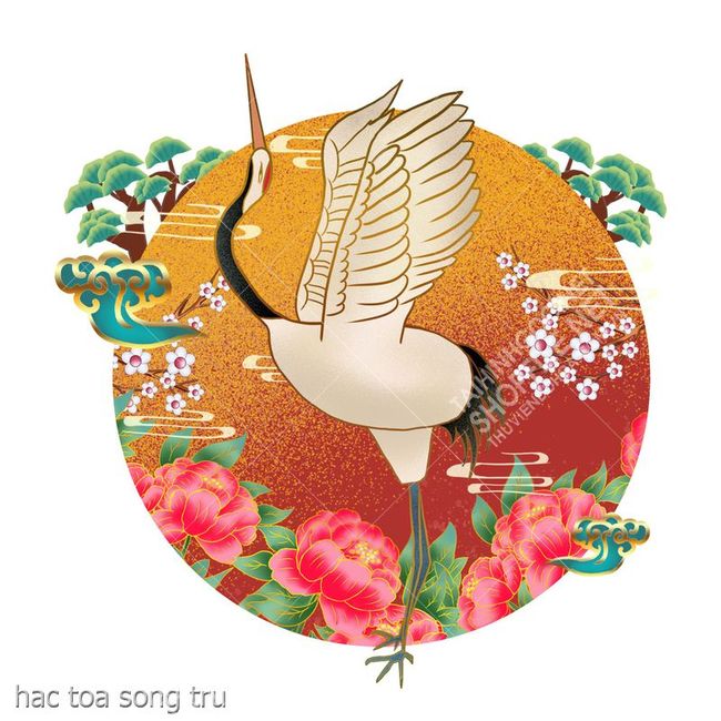 hac toa song tru